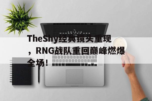 乐鱼官网-TheShy经典镜头重现，RNG战队重回巅峰燃爆全场！