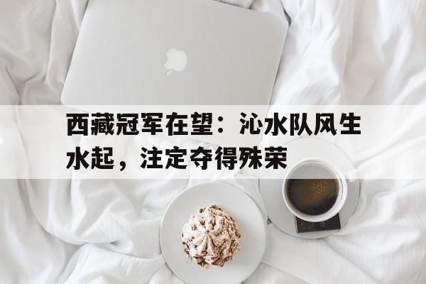 乐鱼app-西藏冠军在望：沁水队风生水起，注定夺得殊荣